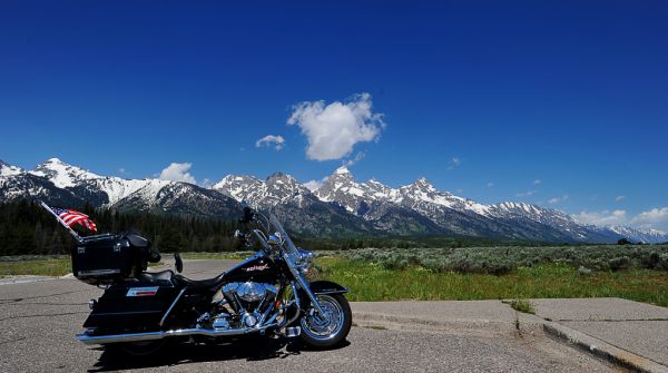 Rex at the Tetons