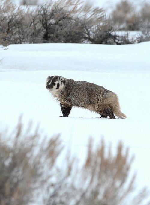 Wisconsin 