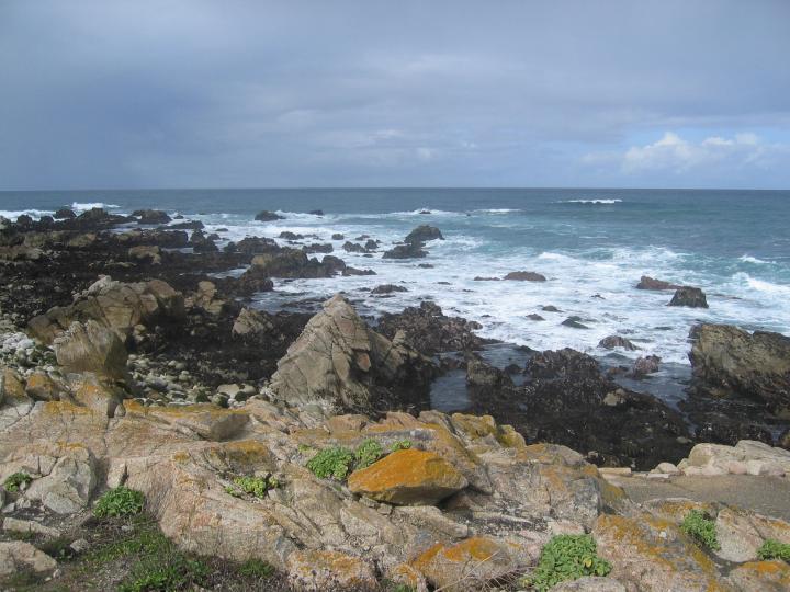 Dont even ask me where this was ,west coast beside some rocks beside a ocean.