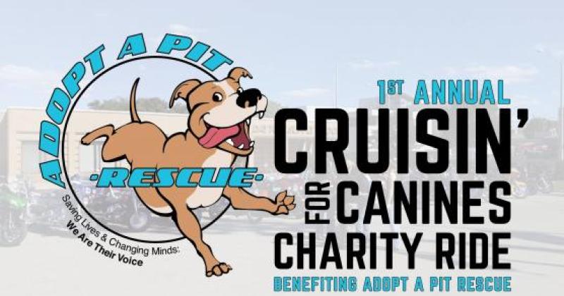 Adopt A Pit Rescue Cruisin' for Canines