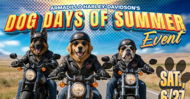 Armadillo Harley-Davidson Dog Days of Summer