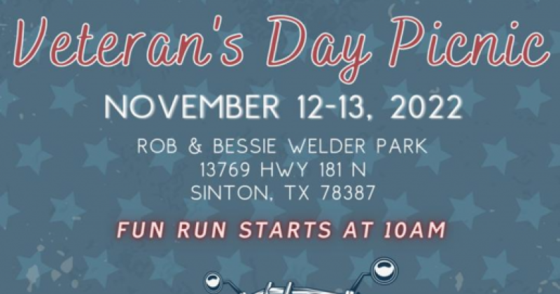 Veteran's Day Picnic 