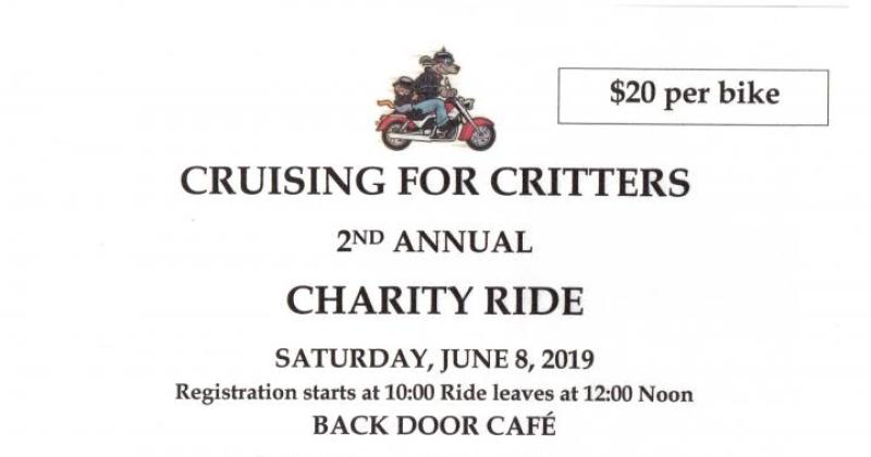 Cruising For Critters 