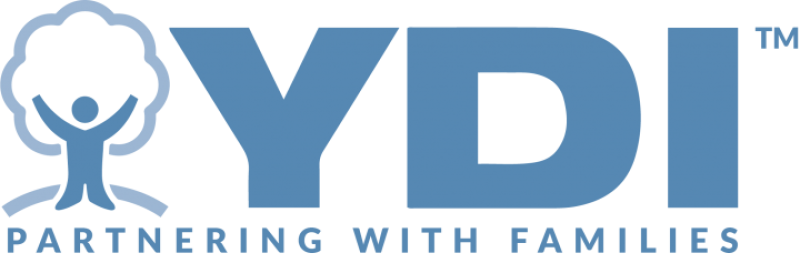 2021 YDI 50 Anniversary GOLDEN Toy Run