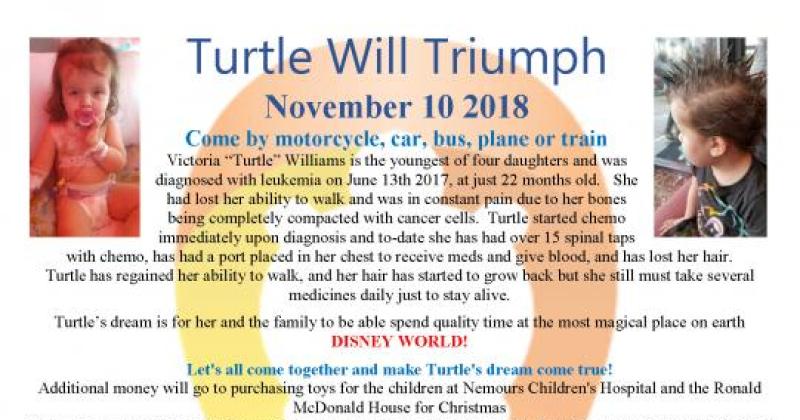 Turtle Will Triumph 