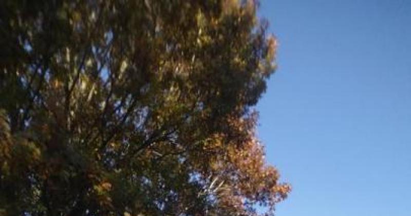 Motorcycles On Meridan (Anderson)