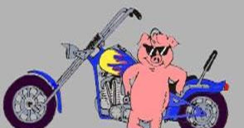 Johnson City Pig Roast 2017