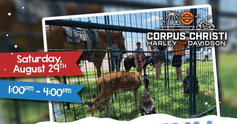 Family Fun Day At CC Harley-Davidson