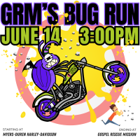 GRM Bug Run