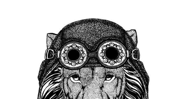 Melcher-Dallas Bike Show