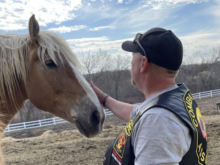 Angel Reins Steel Horse Ride 